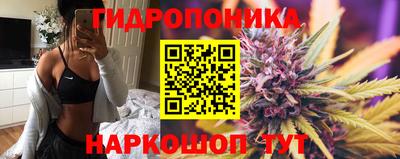 ешки Нижний Тагил