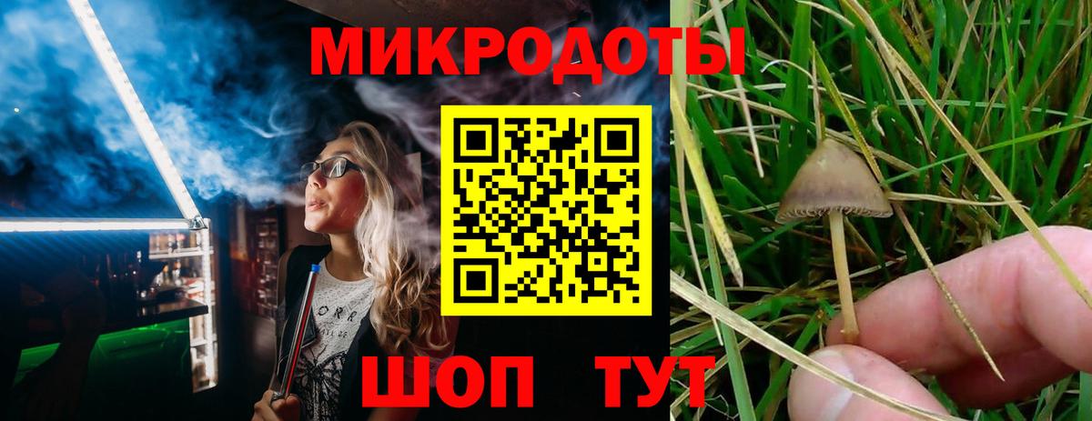 Галлюциногенные грибы мухоморы  Галлюциногенные грибы мицелий  Кызыл  Вход с VPN 